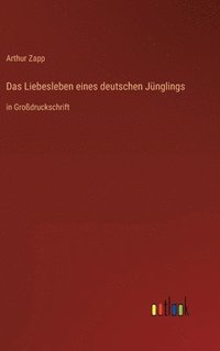 bokomslag Das Liebesleben eines deutschen Jnglings