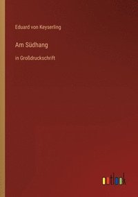 bokomslag Am Südhang