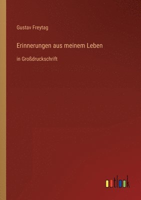 Erinnerungen aus meinem Leben 1