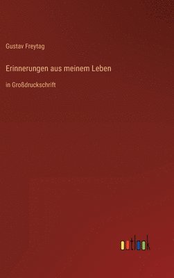 bokomslag Erinnerungen aus meinem Leben