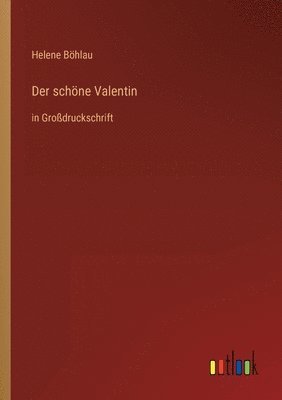 bokomslag Der schoene Valentin