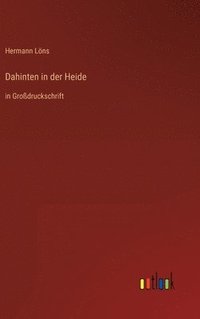 bokomslag Dahinten in der Heide
