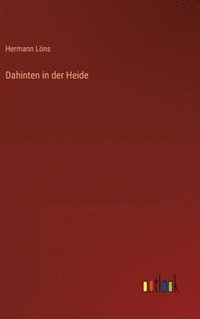 bokomslag Dahinten in der Heide