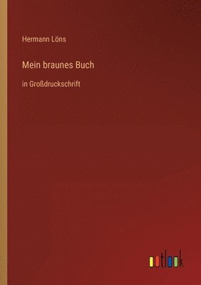 bokomslag Mein braunes Buch