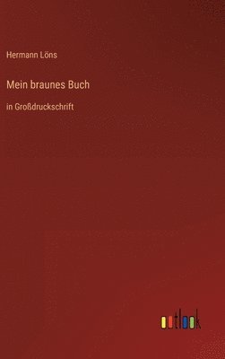 bokomslag Mein braunes Buch