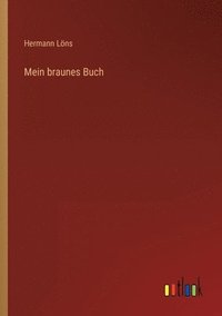 bokomslag Mein braunes Buch