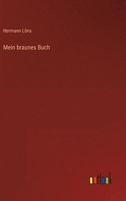 bokomslag Mein braunes Buch