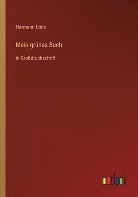 bokomslag Mein grünes Buch