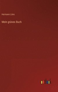 bokomslag Mein grnes Buch