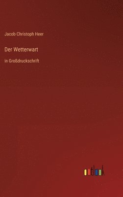 bokomslag Der Wetterwart