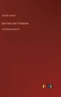 bokomslag Das Herz der Finsternis