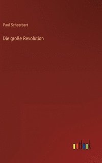 bokomslag Die groe Revolution