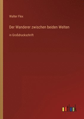 Walter Flex - Wanderer zwischen beiden Welten, Häftad