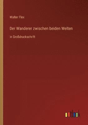 Walter Flex - Wanderer zwischen beiden Welten, Häftad