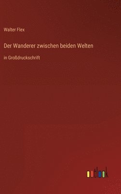Walter Flex - Wanderer zwischen beiden Welten, Inbunden