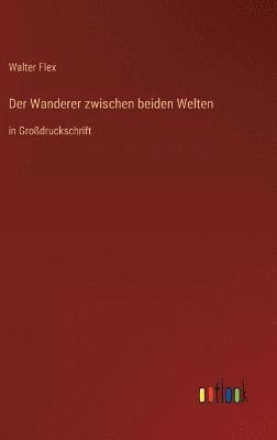 bokomslag Der Wanderer zwischen beiden Welten