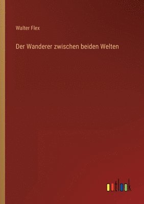 Walter Flex - Wanderer zwischen beiden Welten, Häftad