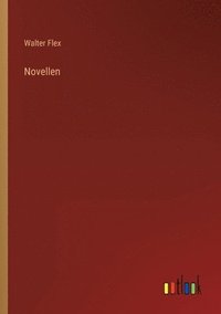 bokomslag Novellen