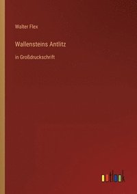 bokomslag Wallensteins Antlitz