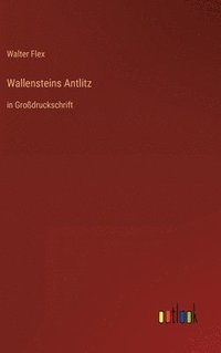 bokomslag Wallensteins Antlitz