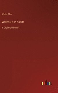 bokomslag Wallensteins Antlitz