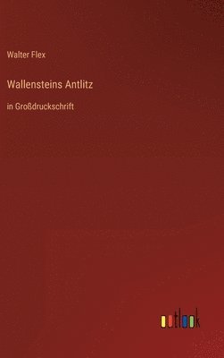 bokomslag Wallensteins Antlitz