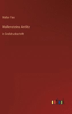 Walter Flex - Wallensteins Antlitz, Inbunden