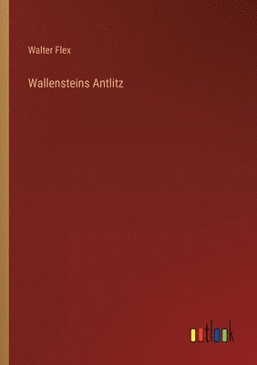 Walter Flex - Wallensteins Antlitz, Häftad