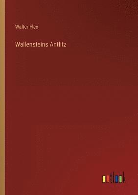 bokomslag Wallensteins Antlitz