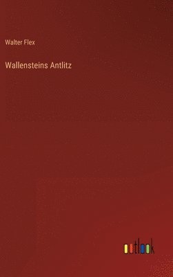 bokomslag Wallensteins Antlitz