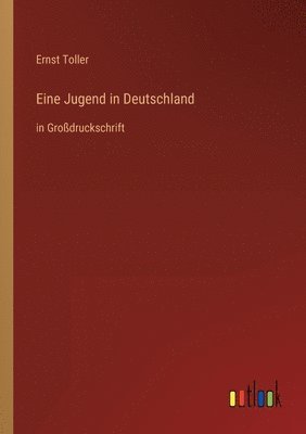 Ernst Toller - Eine Jugend in Deutschland, Häftad