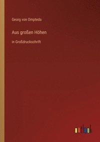 bokomslag Aus großen Höhen
