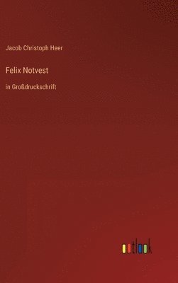 bokomslag Felix Notvest