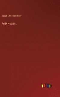 bokomslag Felix Notvest