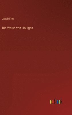 bokomslag Die Waise von Holligen