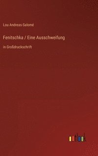 bokomslag Fenitschka / Eine Ausschweifung