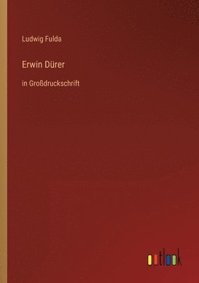 bokomslag Erwin Dürer
