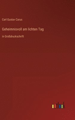 bokomslag Geheimnisvoll am lichten Tag