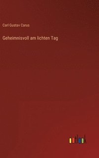 bokomslag Geheimnisvoll am lichten Tag