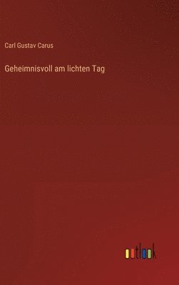 bokomslag Geheimnisvoll am lichten Tag