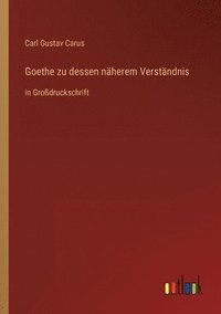 bokomslag Goethe zu dessen näherem Verständnis