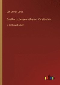 bokomslag Goethe zu dessen naherem Verstandnis