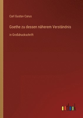 bokomslag Goethe zu dessen naherem Verstandnis