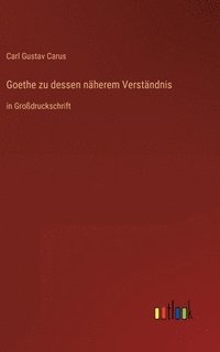 bokomslag Goethe zu dessen nherem Verstndnis