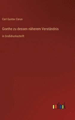 bokomslag Goethe zu dessen nherem Verstndnis