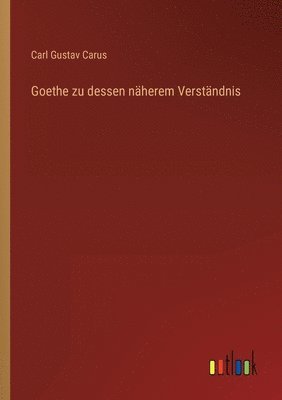 bokomslag Goethe zu dessen näherem Verständnis
