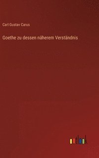 bokomslag Goethe zu dessen näherem Verständnis