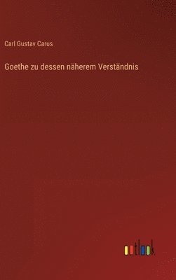 bokomslag Goethe zu dessen nherem Verstndnis