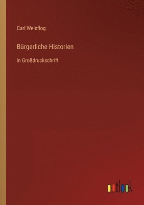 bokomslag Bürgerliche Historien