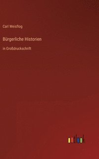 bokomslag Bürgerliche Historien